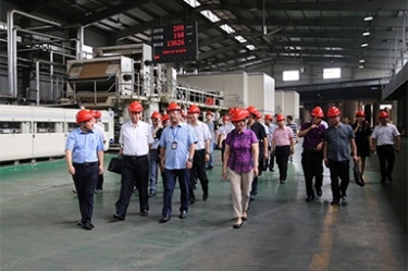 2018年9月12日，全国政协常委、提案委员会副主任郭庚茂、支树平携带调研组光临公司发展调研